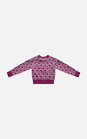 PULLOVER ODI ET AMO